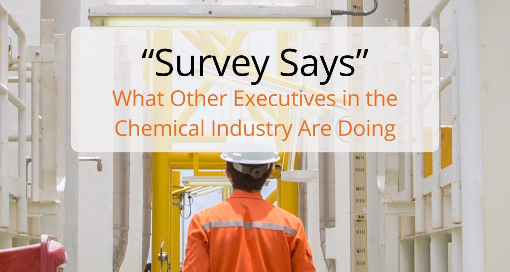 A Cost-Effective Approach to Managing Your Assets and Scarce Senior Labor Resources